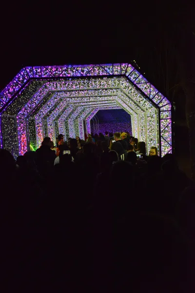 DSC_7012 (Large).JPG